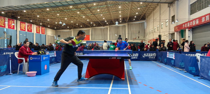 冠军头衔 冠军头衔