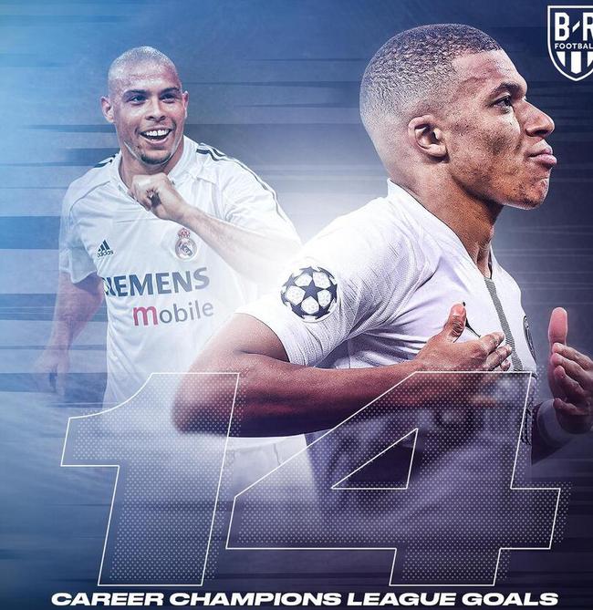 面对美洲系 面对美洲系